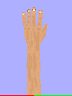 textured hand model screenshot